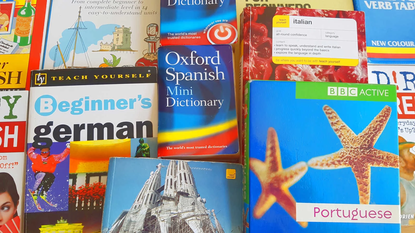 Literacy in the School Language